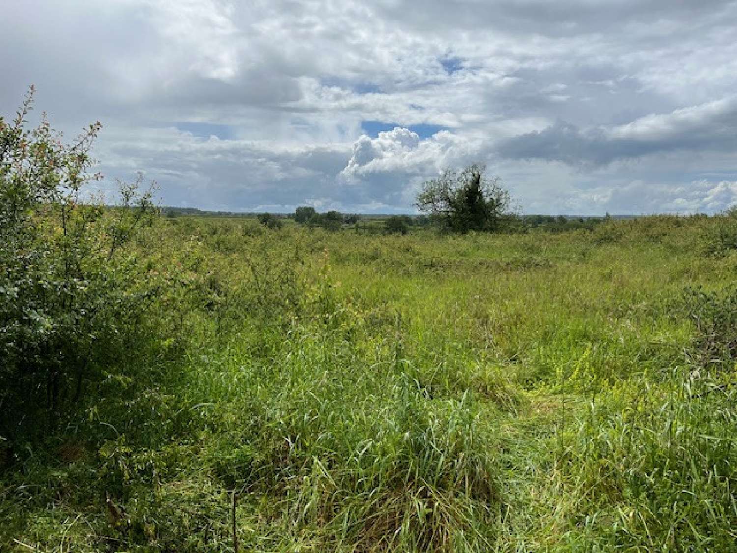  kaufen Grundstück Saint-Seine Nièvre 3