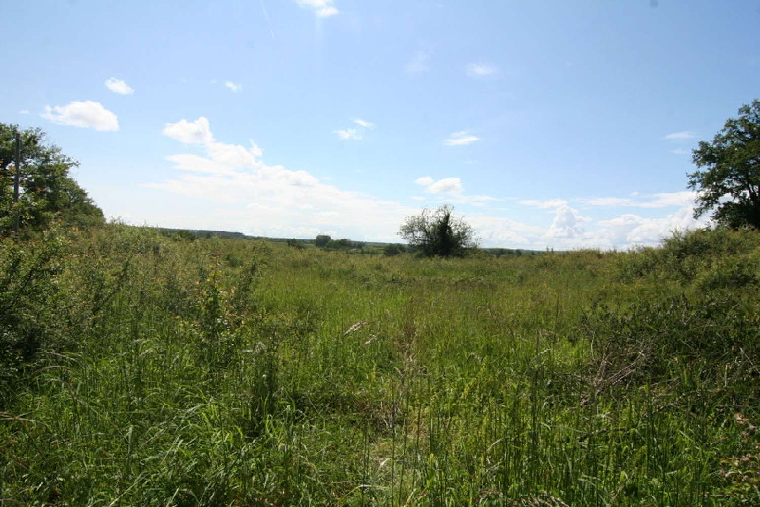  kaufen Grundstück Saint-Seine Nièvre 7