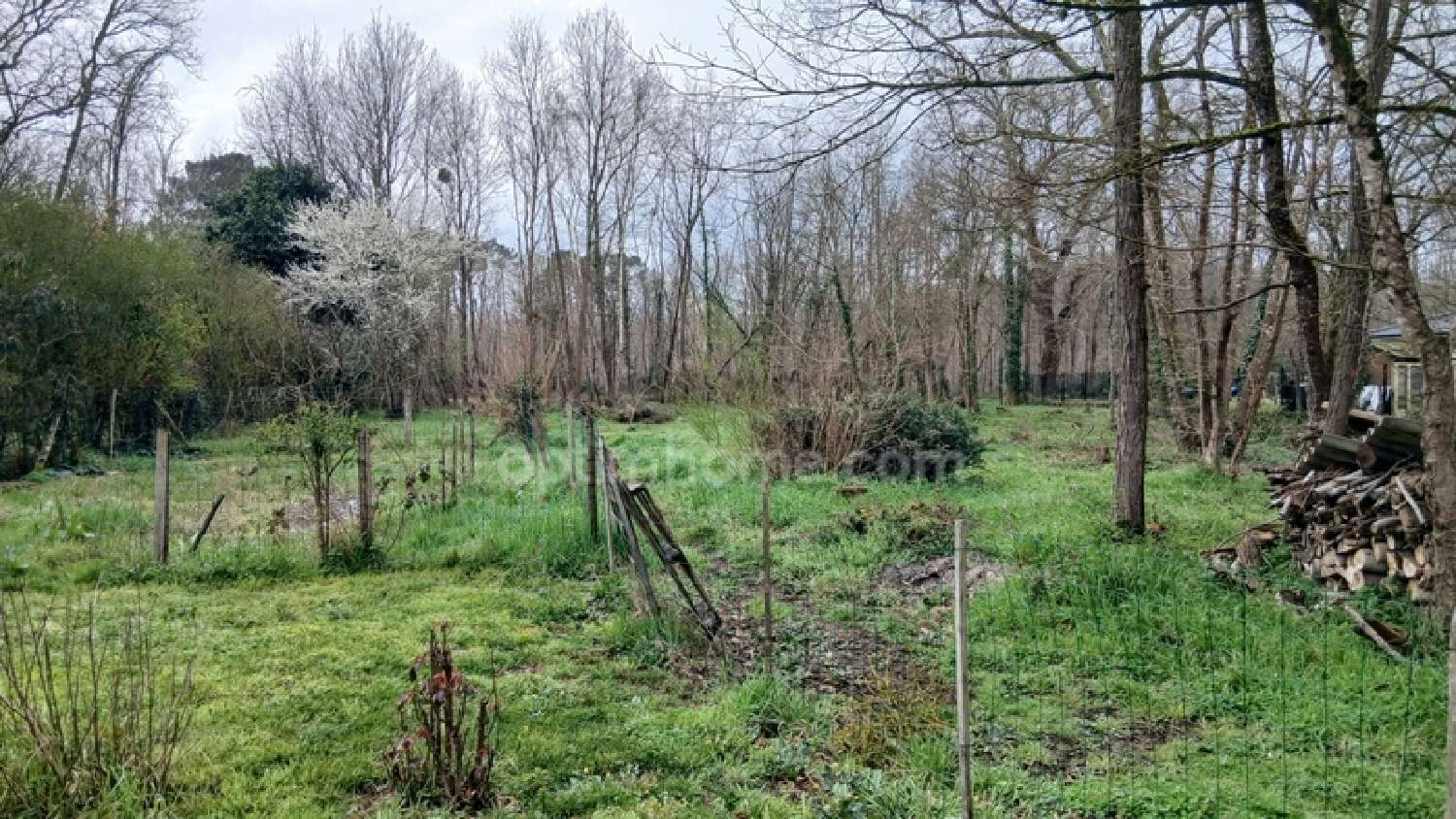  for sale terrain Saint-Selve Gironde 1