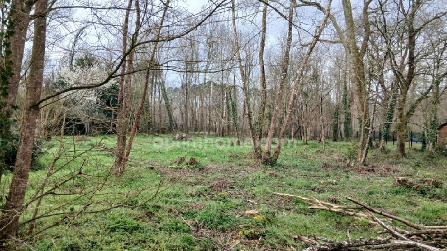  for sale terrain Saint-Selve Gironde 2