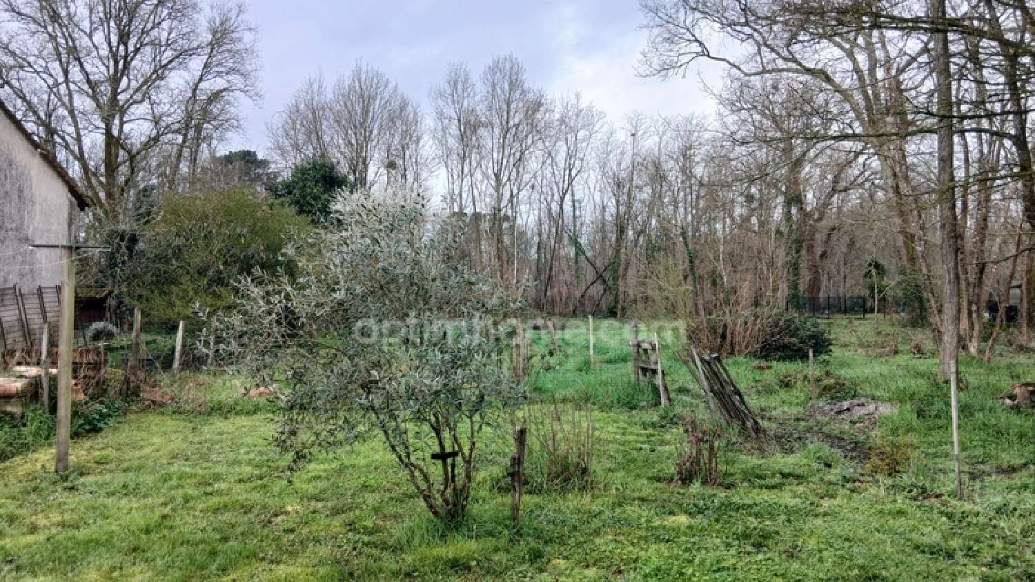  for sale terrain Saint-Selve Gironde 3
