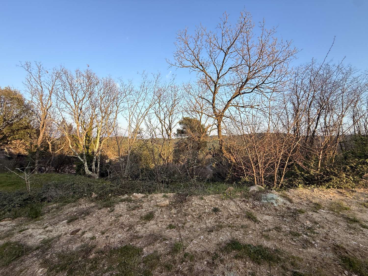  for sale terrain Saint-Sernin Ardèche 1