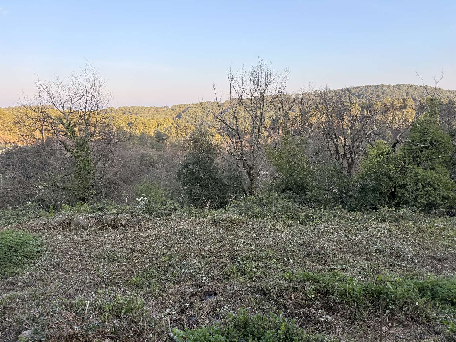  for sale terrain Saint-Sernin Ardèche 2