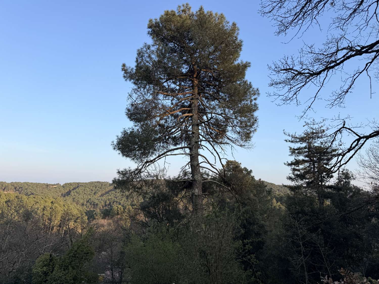  for sale terrain Saint-Sernin Ardèche 3
