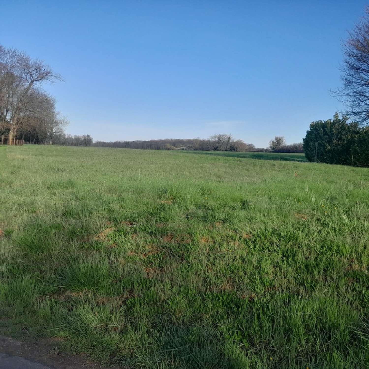  te koop terrein Saint-Sornin Charente 1