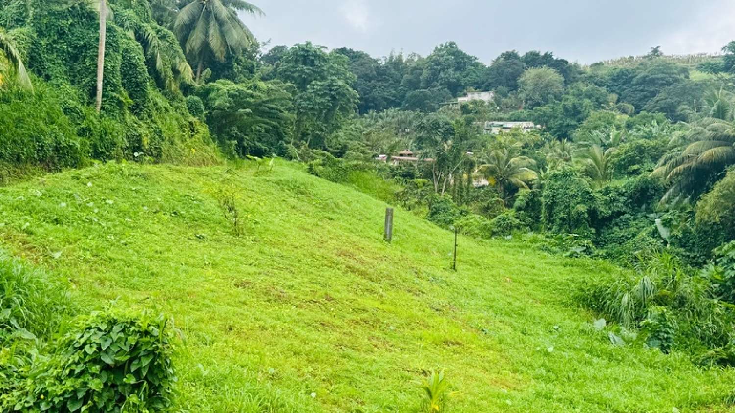 à vendre terrain Sainte-Marie Martinique 1