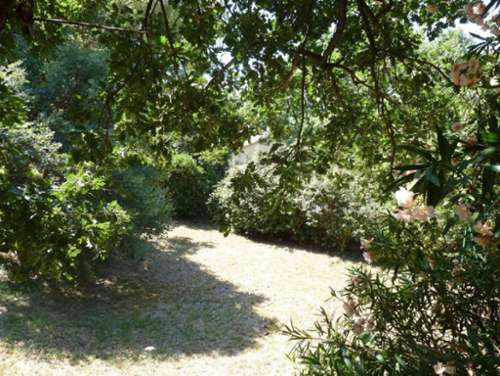 Sainte-Tulle Alpes-de-Haute-Provence terreno foto 7294817