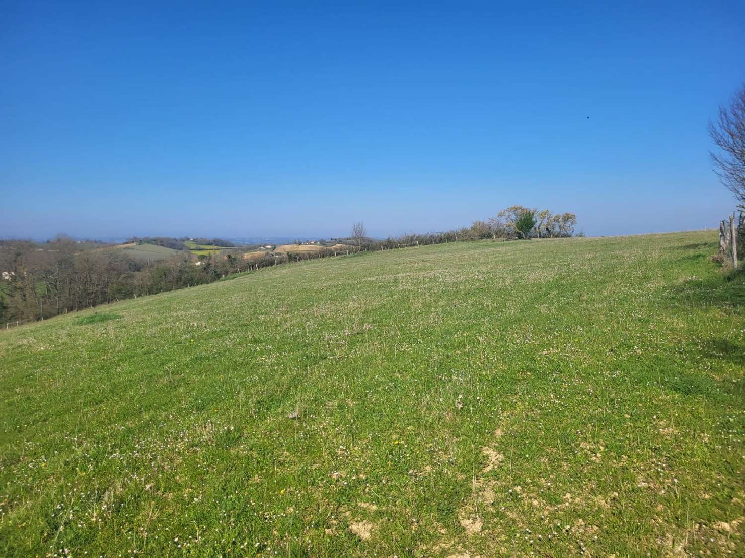 for sale terrain Samatan Gers 1