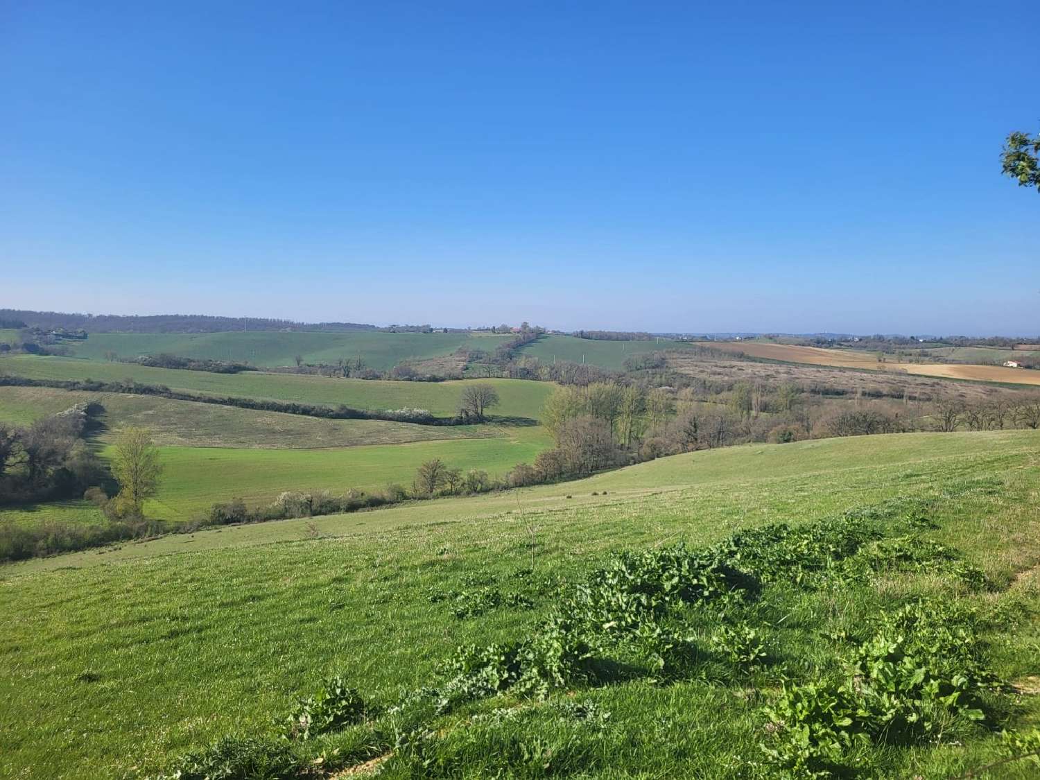 for sale terrain Samatan Gers 2