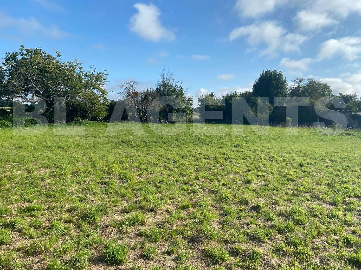  kaufen Grundstück Sargé-lès-Le Mans Sarthe 1