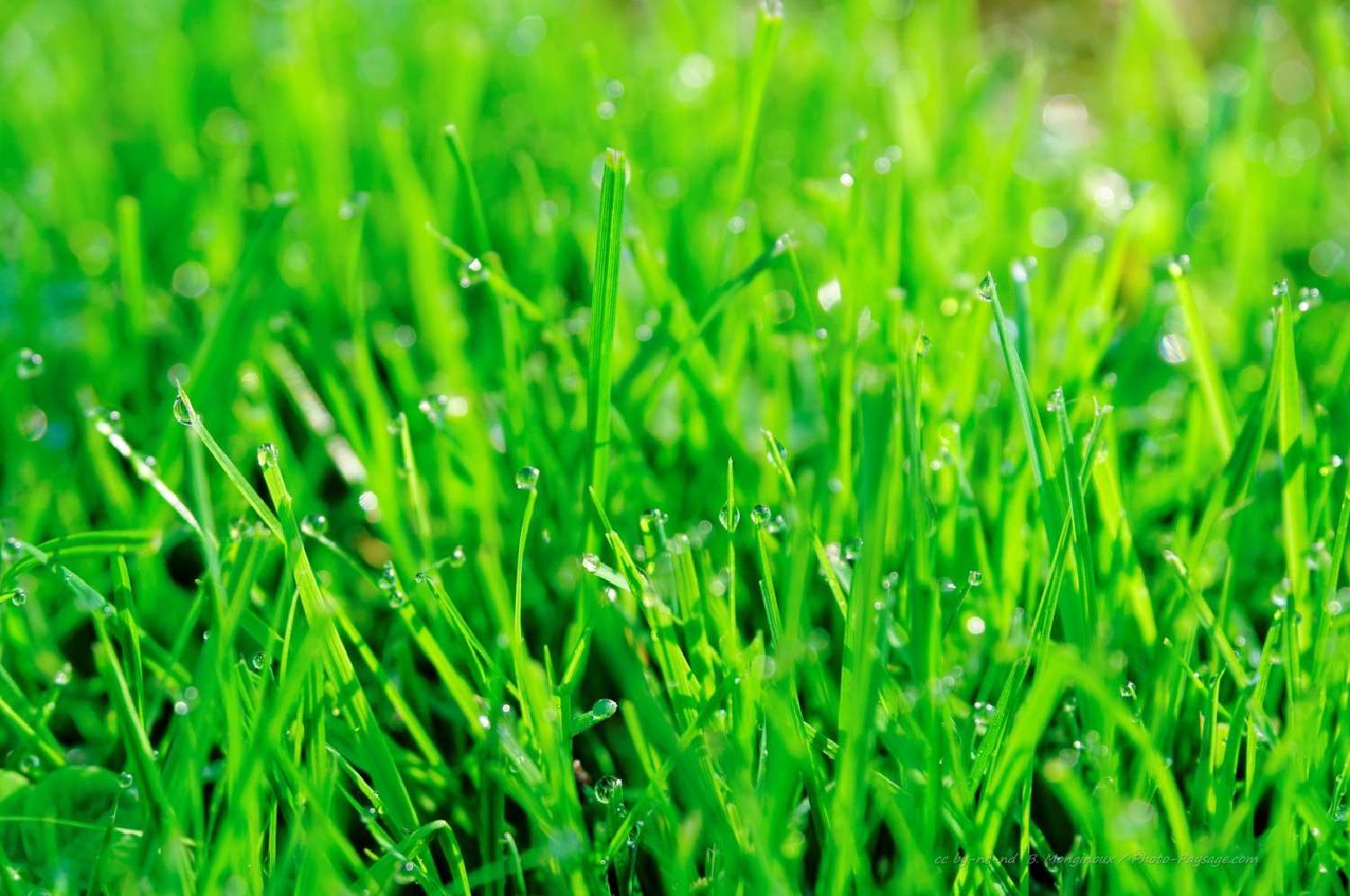  kaufen Grundstück Septème Isère 1