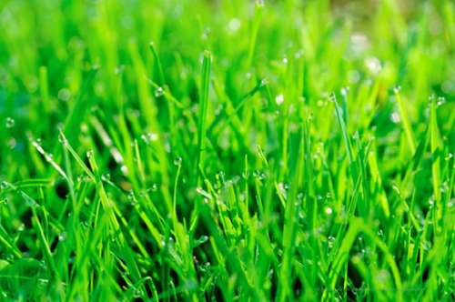 Septème Isère Grundstück Bild 7282098