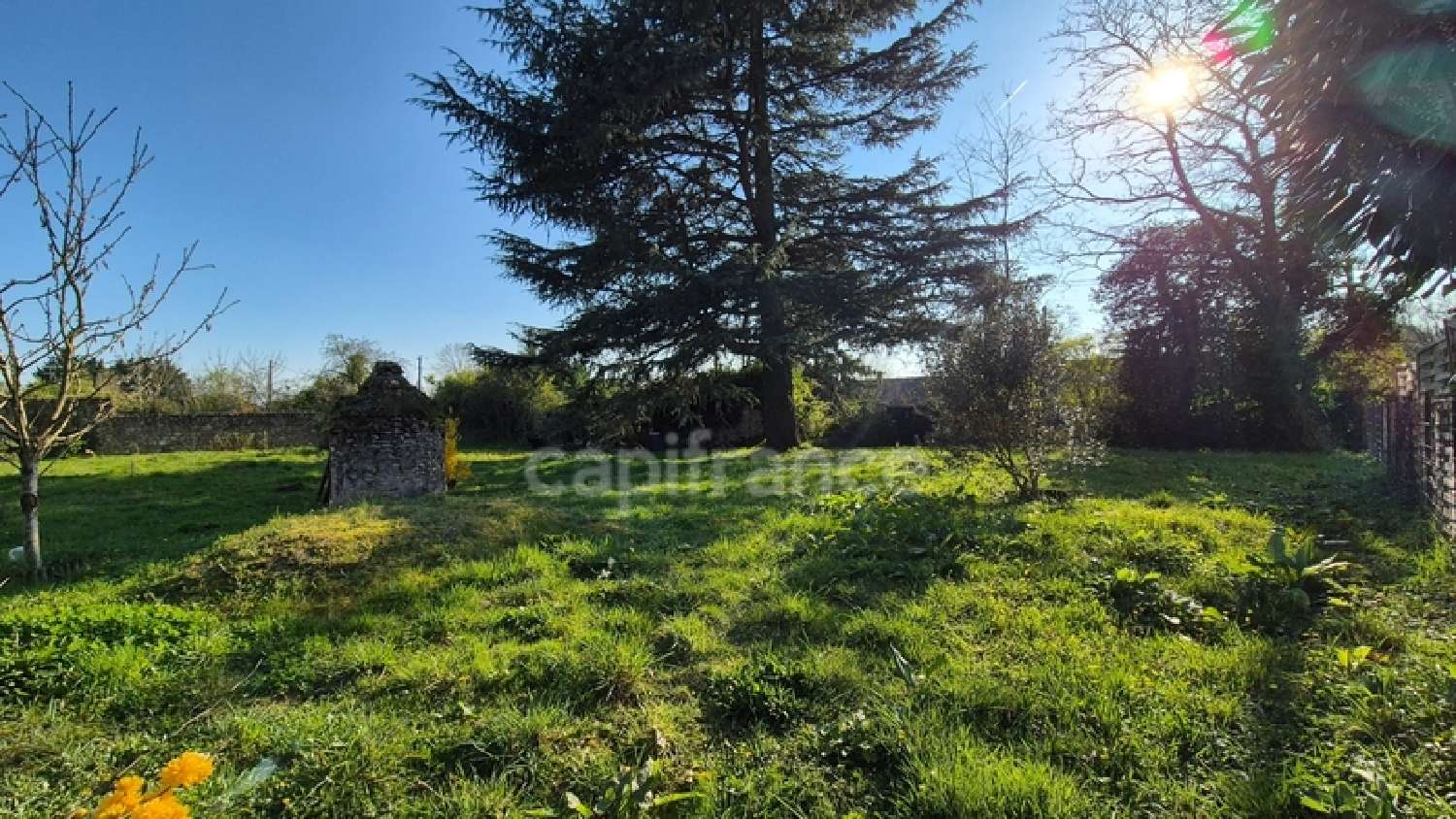 for sale terrain Sermaise Essonne 1