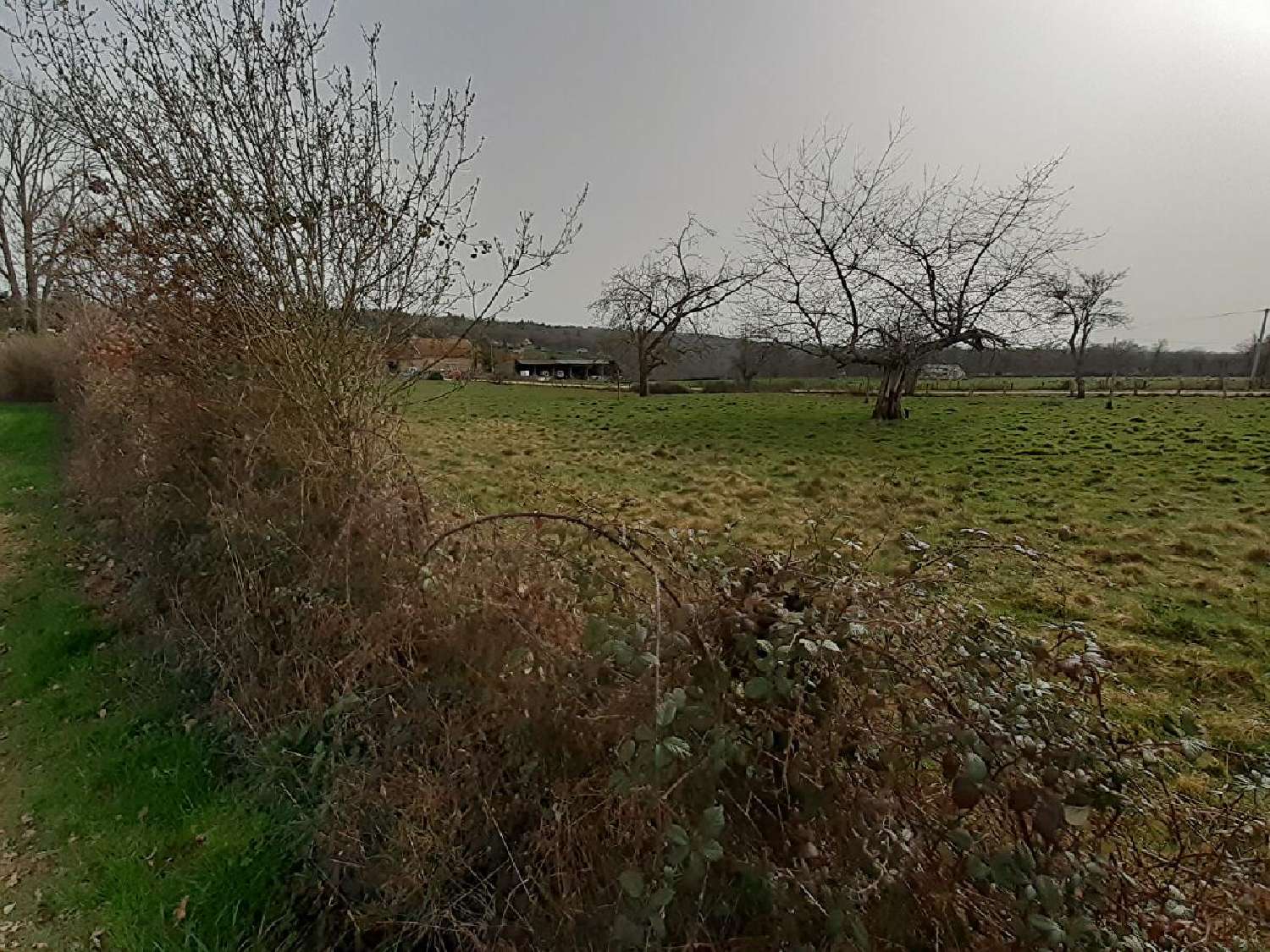  for sale terrain Solignac Haute-Vienne 3