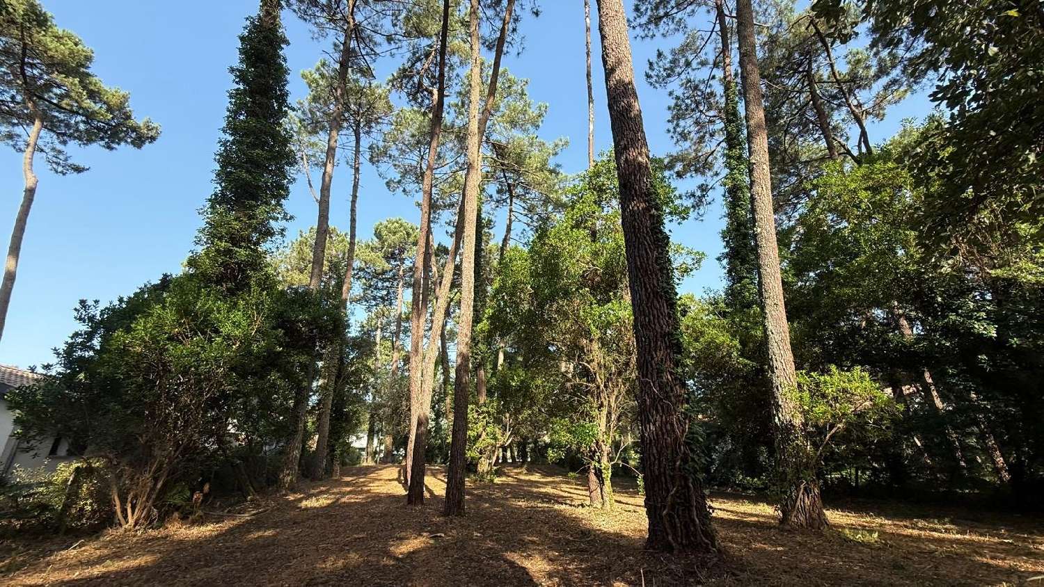  te koop terrein Soorts-Hossegor Landes 1