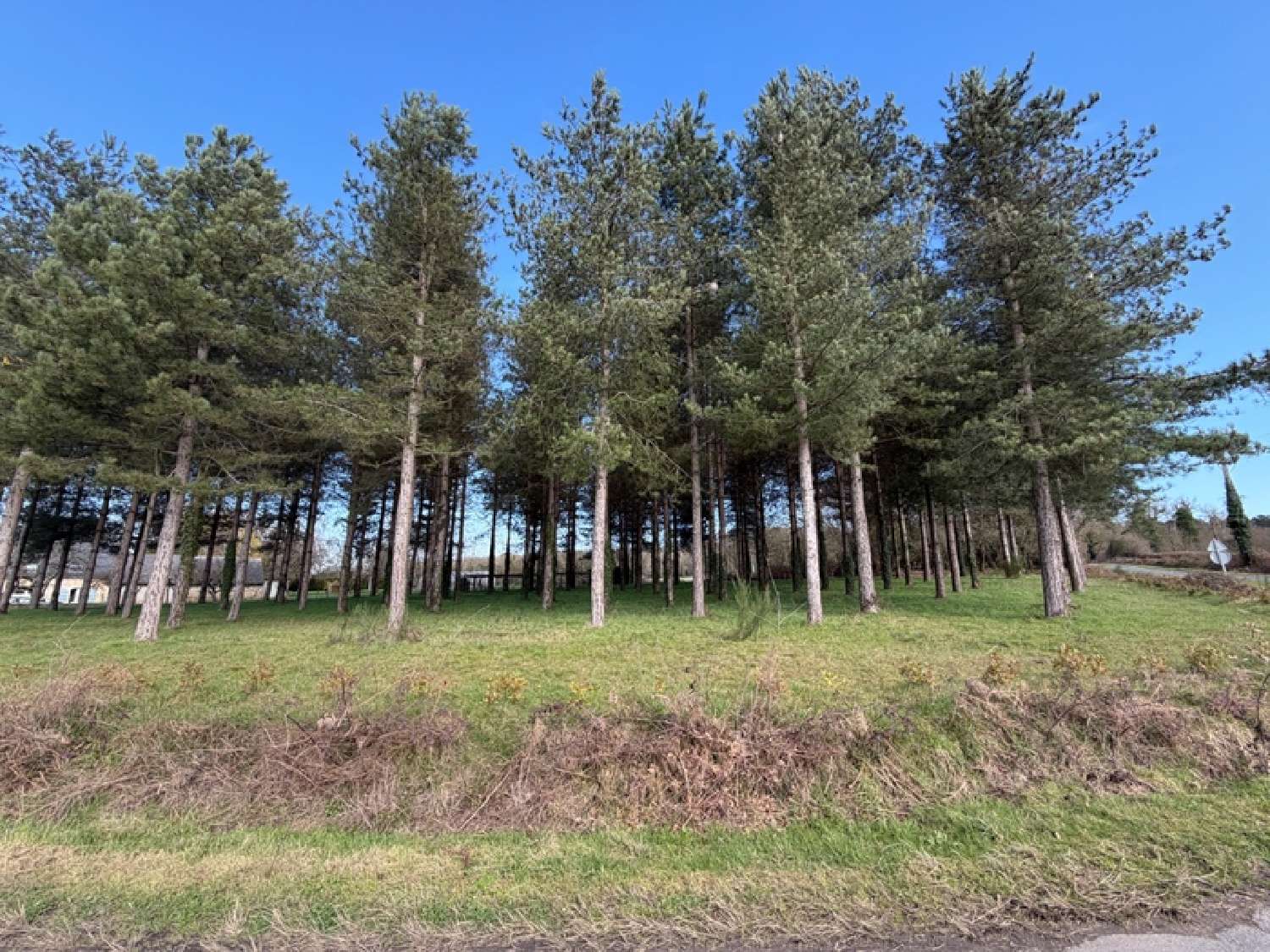 kaufen Grundstück Tiercé Maine-et-Loire 1