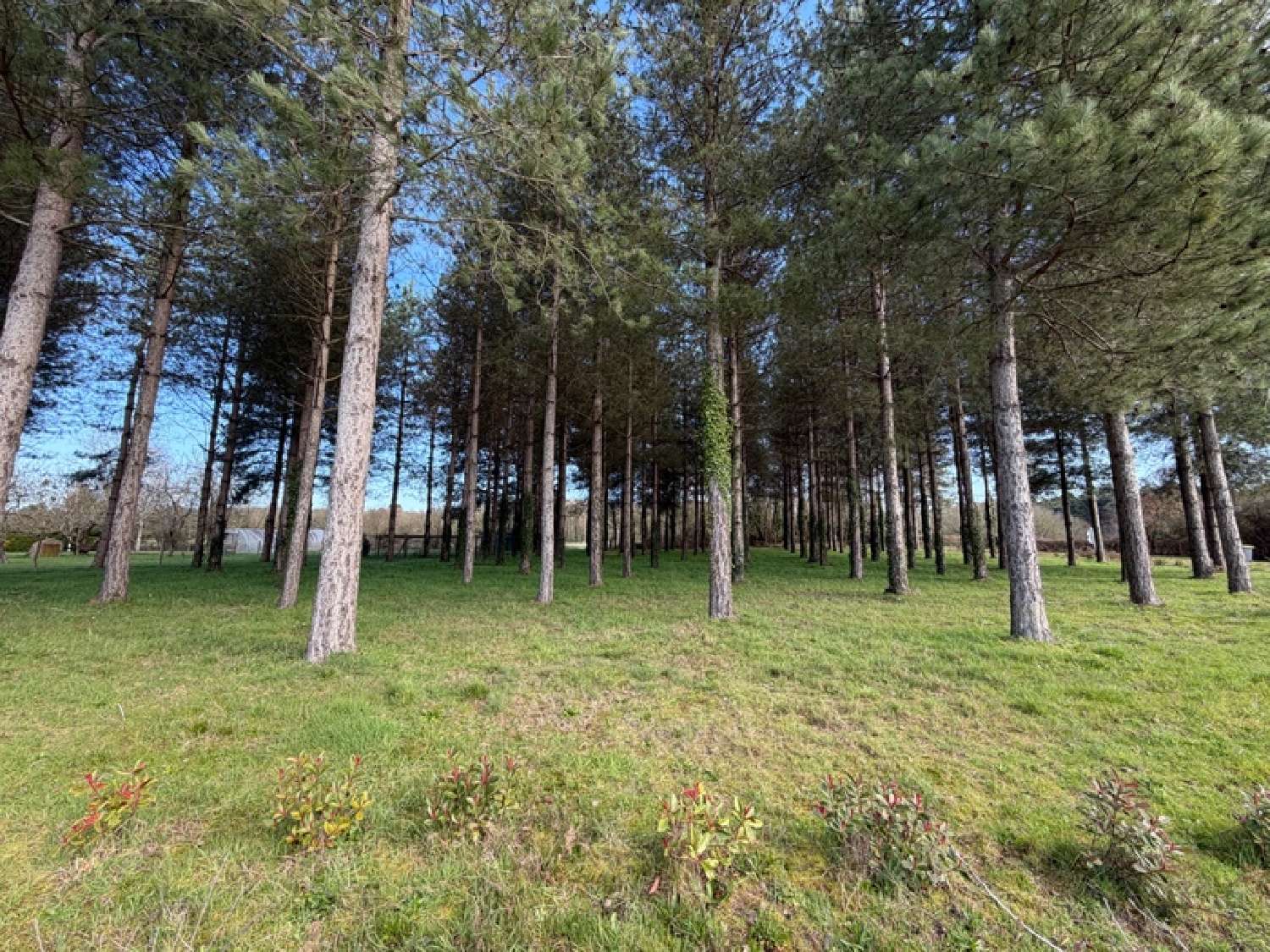 kaufen Grundstück Tiercé Maine-et-Loire 2