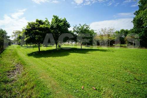 Tournefeuille Haute-Garonne Grundstück Bild 7286488