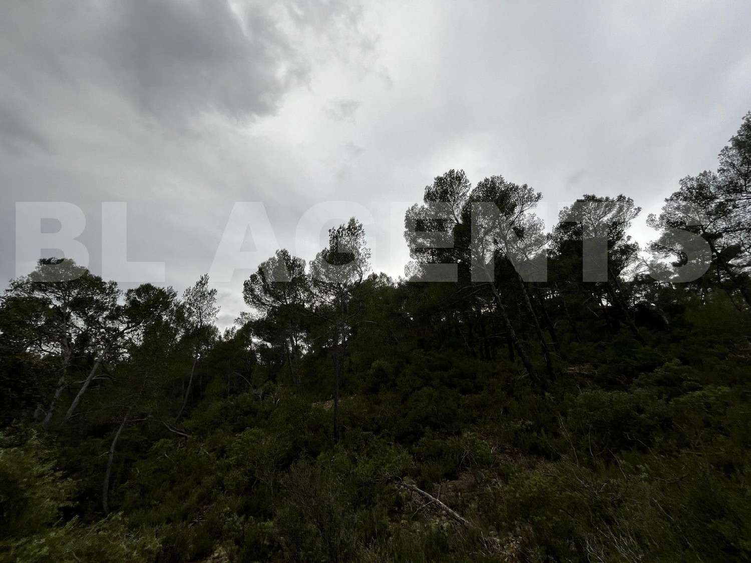  for sale terrain Tourves Var 1