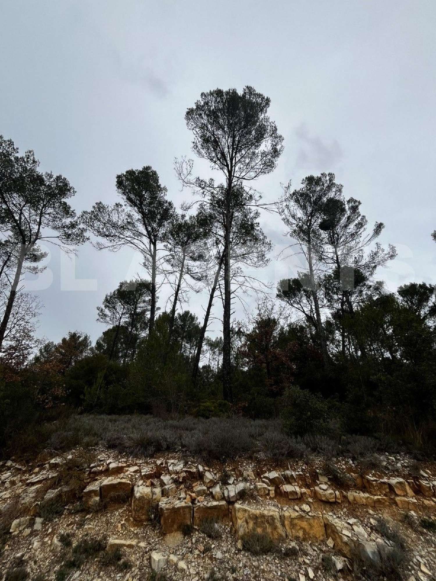  for sale terrain Tourves Var 1