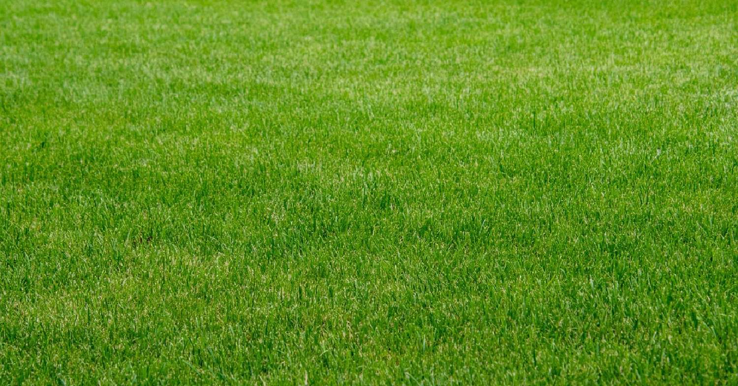 for sale terrain Trévières Calvados 1