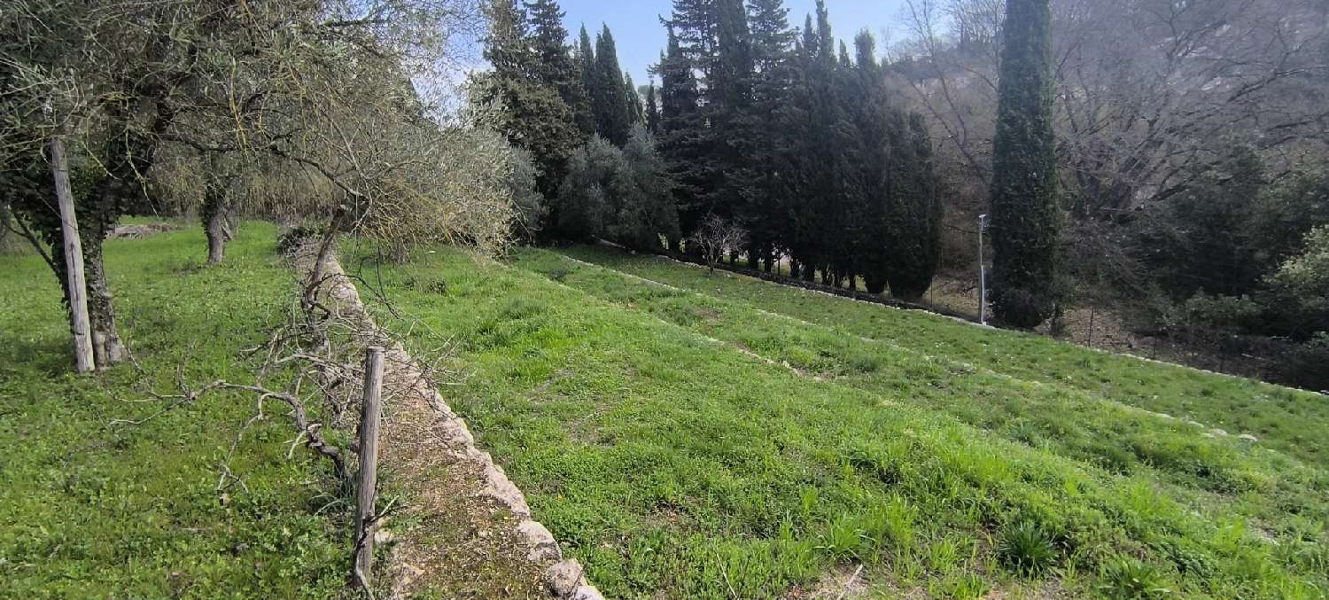  en venta terreno Valbonne Alpes-Maritimes 4