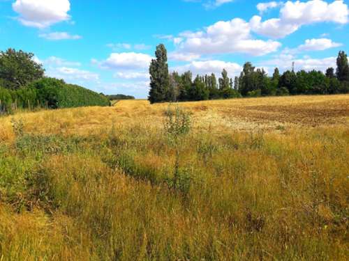 Vallery Yonne terrain foto 7291469