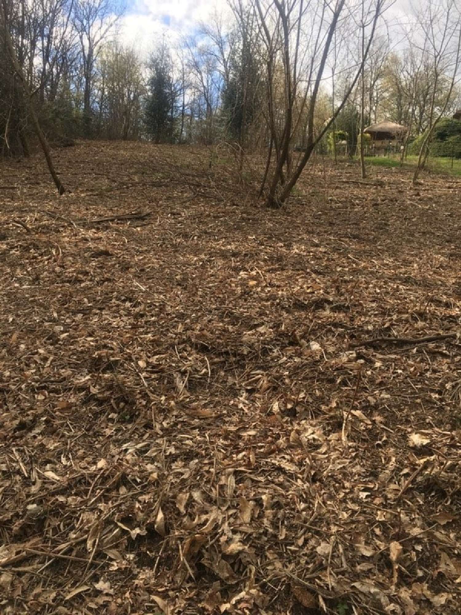  te koop terrein Venarsal Corrèze 3