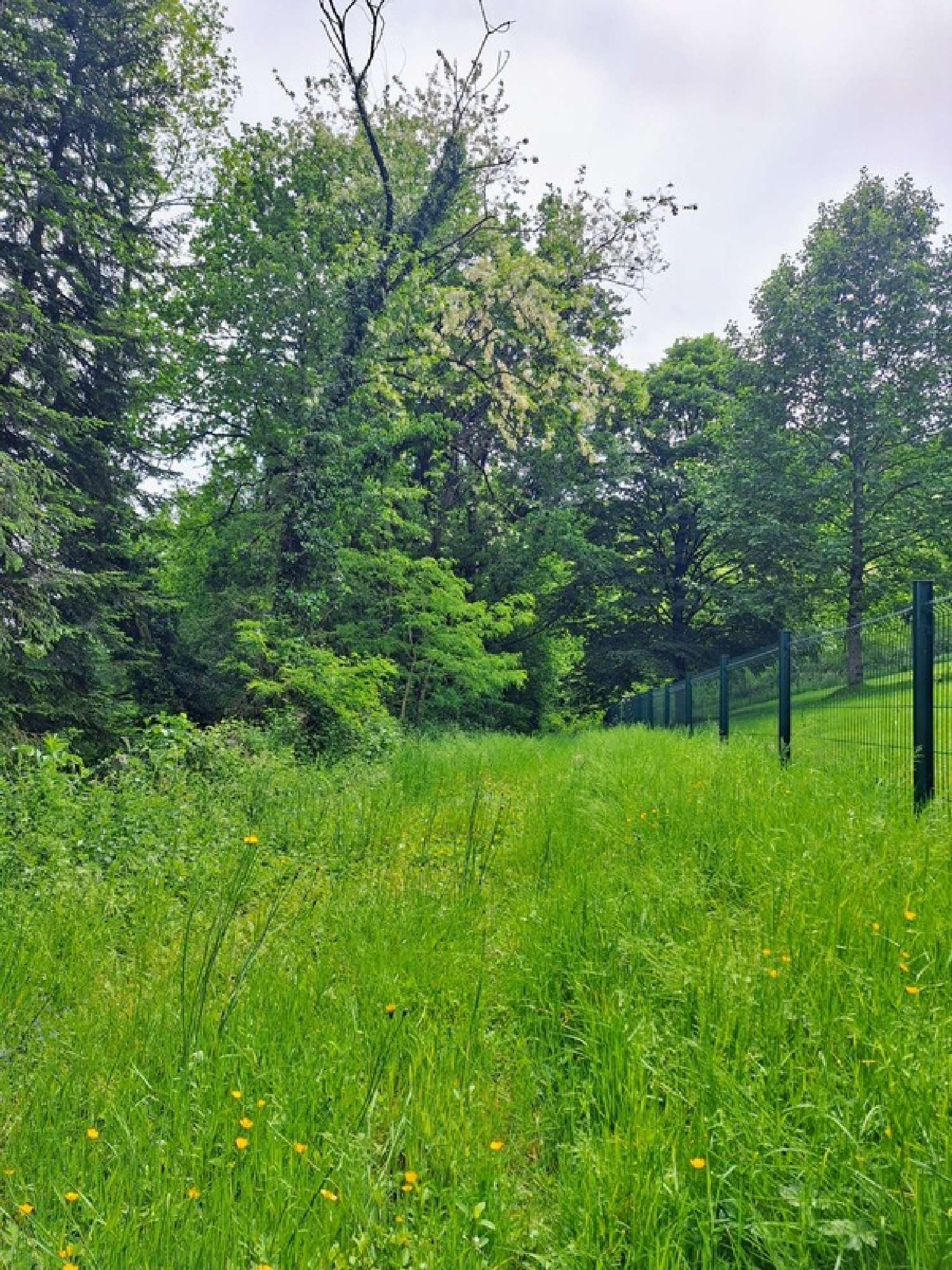  te koop terrein Venarsal Corrèze 7