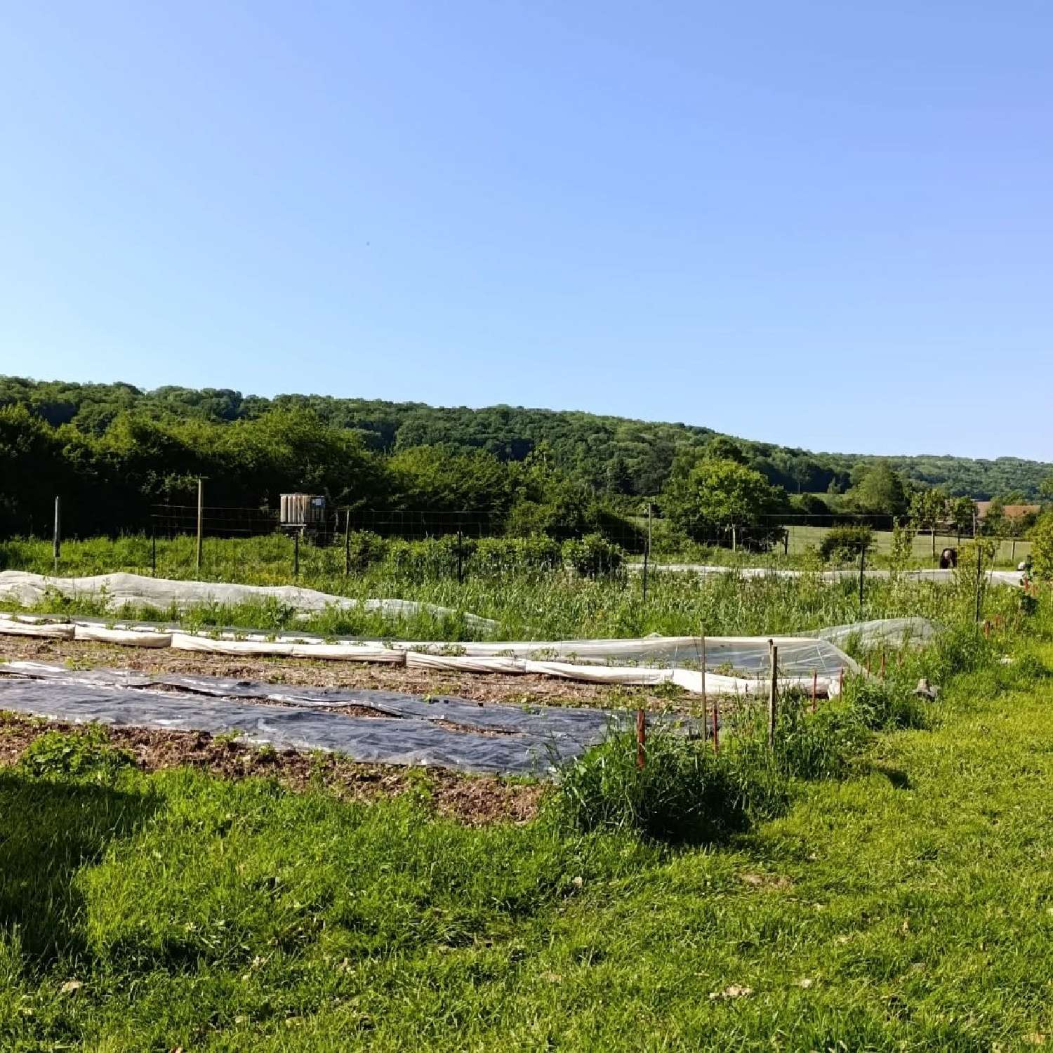  kaufen Grundstück Verdelot Seine-et-Marne 4