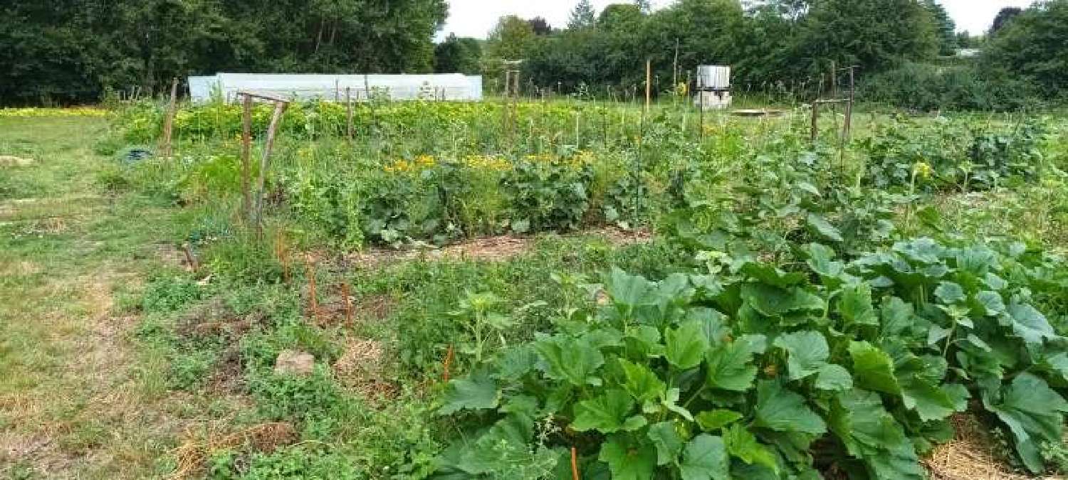  kaufen Grundstück Verdelot Seine-et-Marne 7