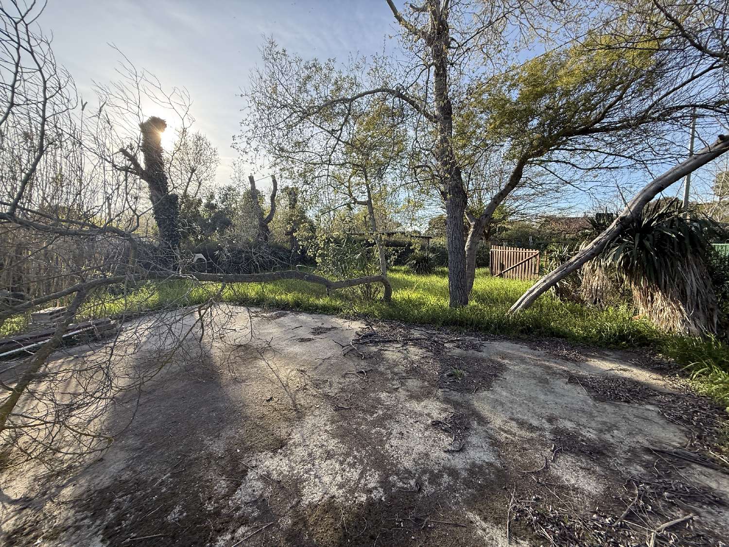 te koop terrein Vias Hérault 4