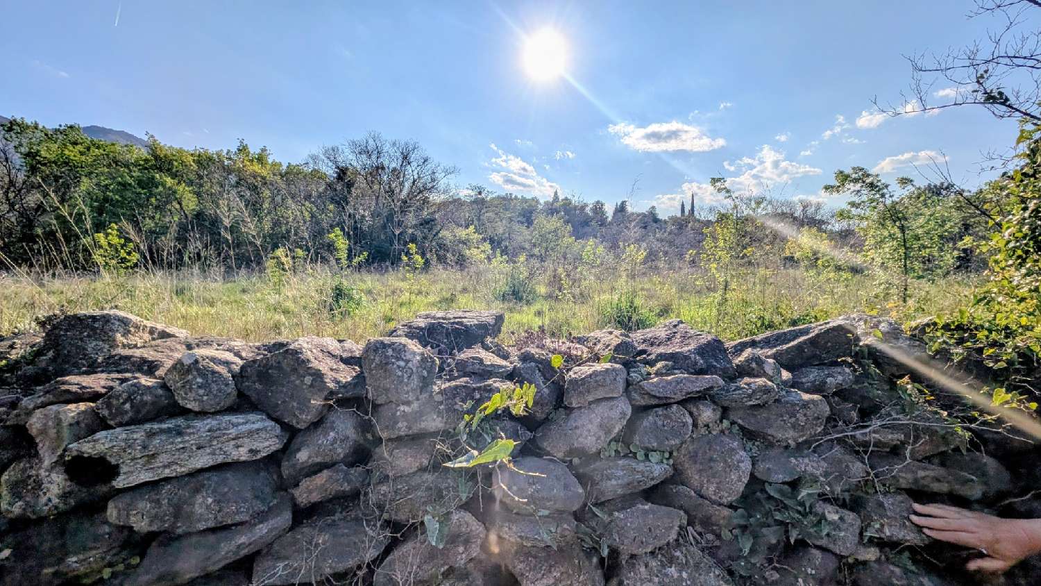  for sale terrain Villelongue-dels-Monts Pyrénées-Orientales 1