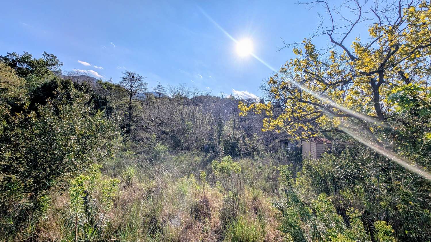  for sale terrain Villelongue-dels-Monts Pyrénées-Orientales 2
