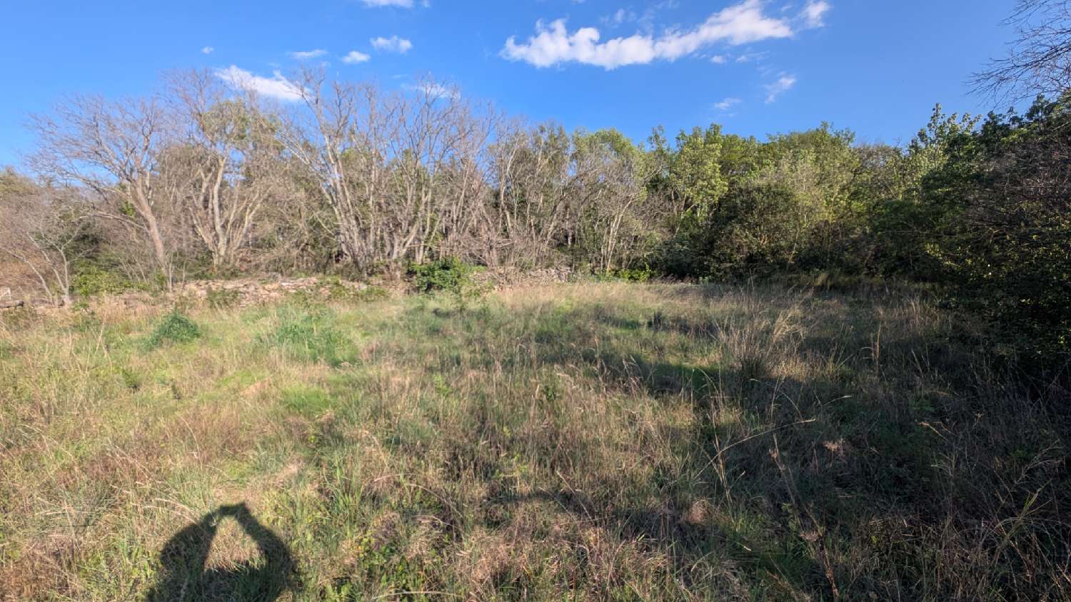  for sale terrain Villelongue-dels-Monts Pyrénées-Orientales 3