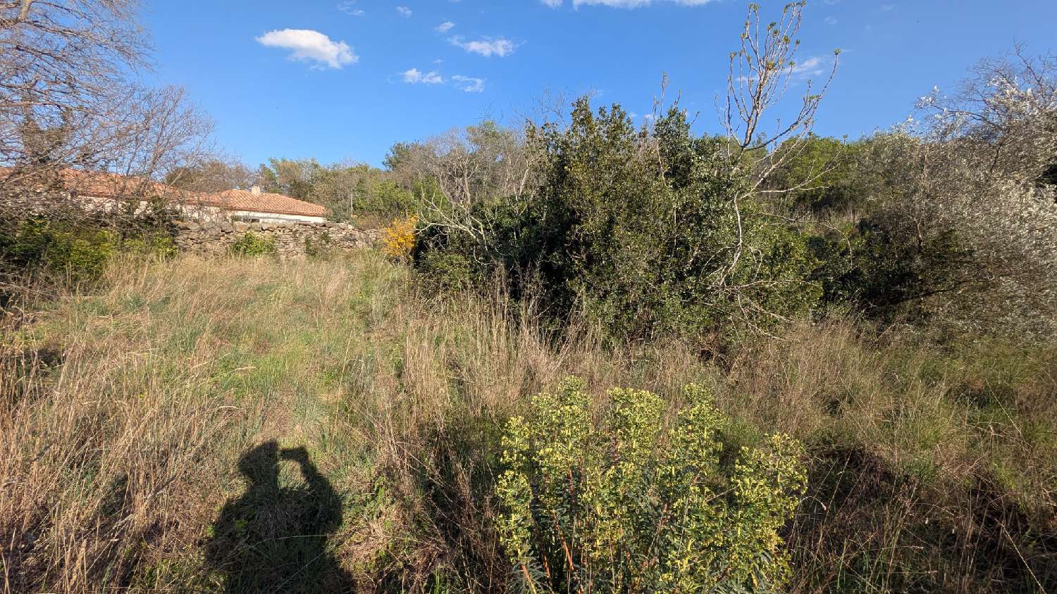  for sale terrain Villelongue-dels-Monts Pyrénées-Orientales 4