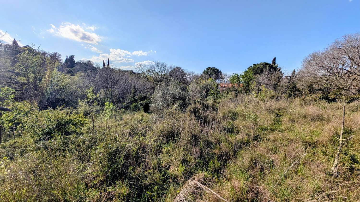  for sale terrain Villelongue-dels-Monts Pyrénées-Orientales 5