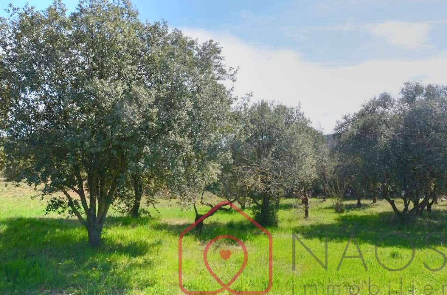  kaufen Grundstück Vinon-sur-Verdon Var 4