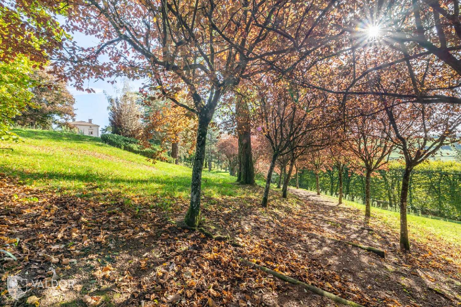  for sale villa Amplepuis Rhône 6