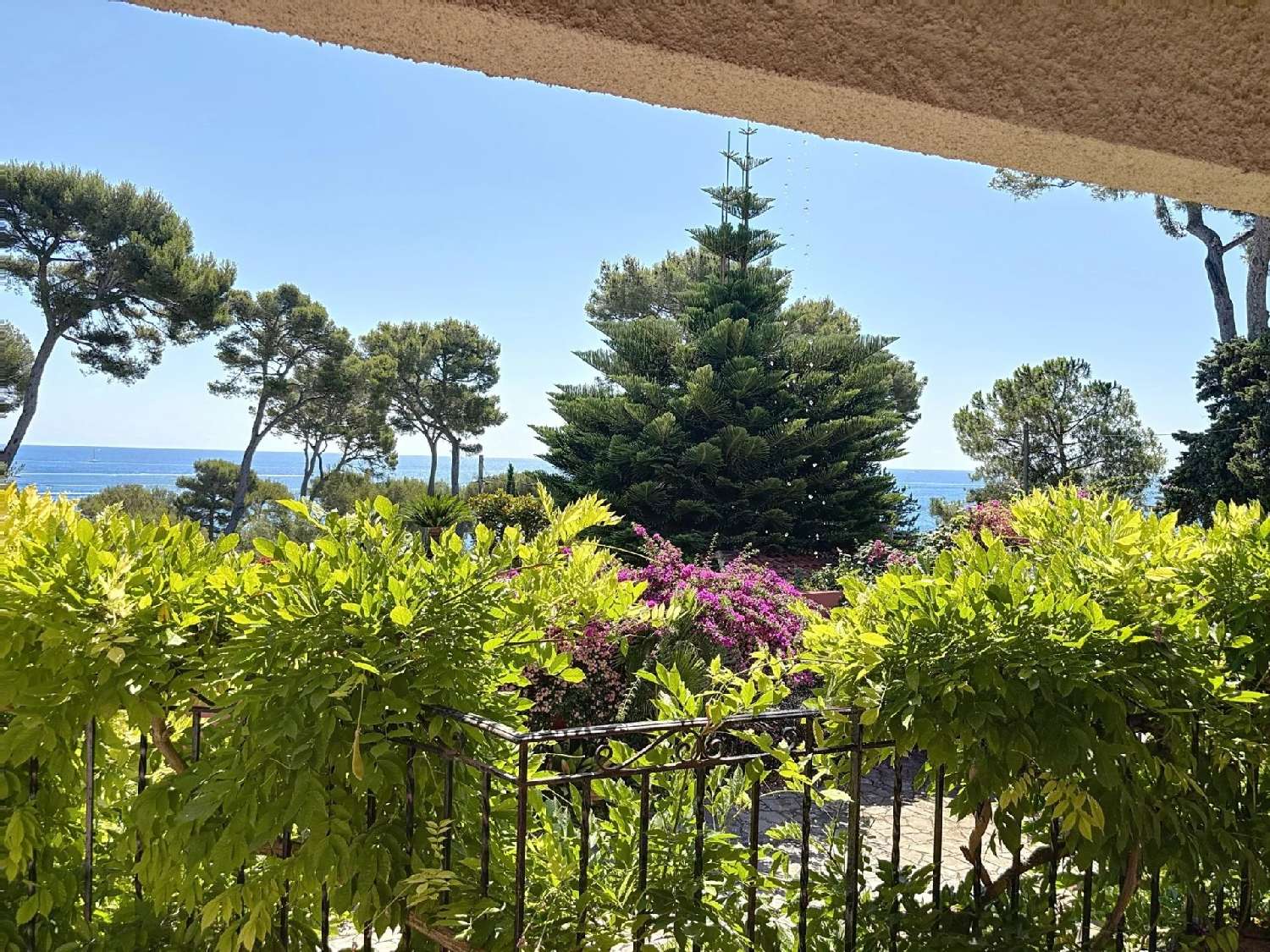 à vendre villa Antibes 06160 Alpes-Maritimes 8