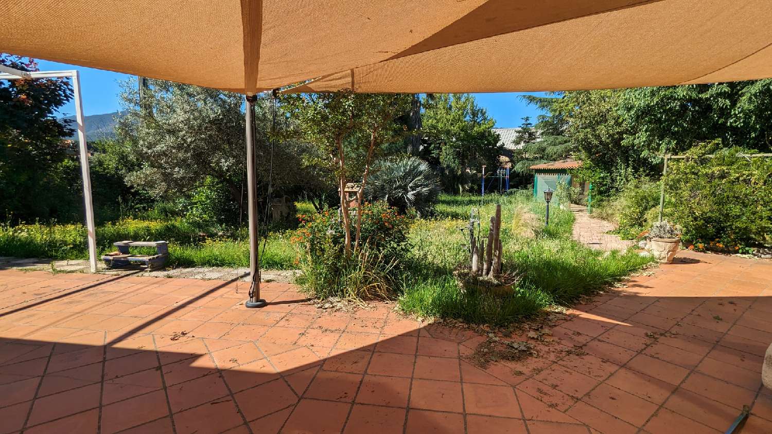 kaufen Villa Argelès-sur-Mer Pyrénées-Orientales 6