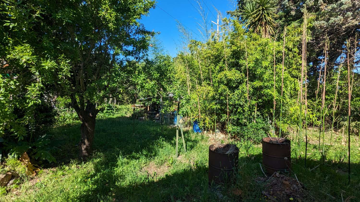 kaufen Villa Argelès-sur-Mer Pyrénées-Orientales 8