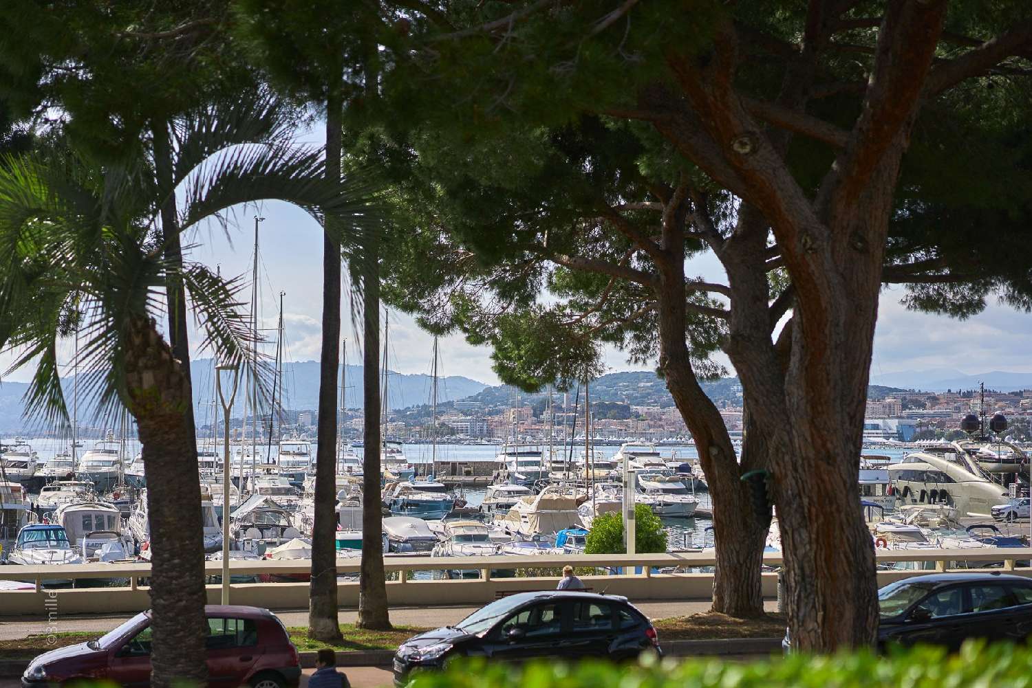  te koop villa Cannes Alpes-Maritimes 3