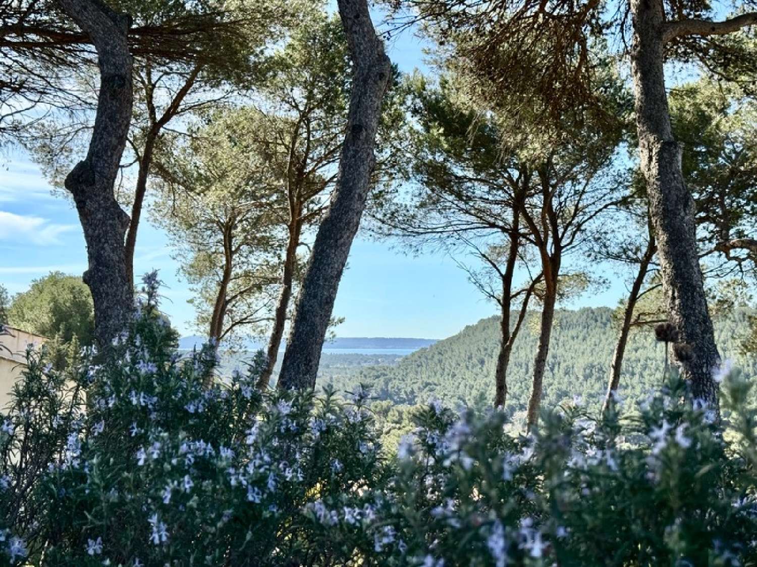  kaufen Villa Cornillon-Confoux Bouches-du-Rhône 7