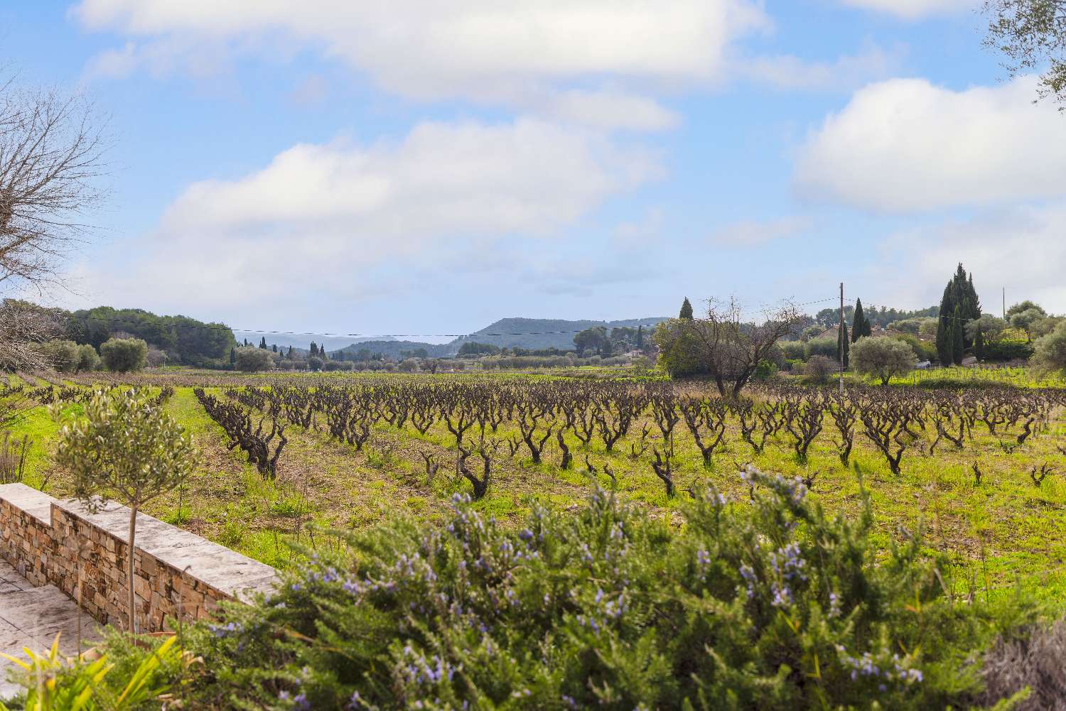  for sale villa Évenos Var 2