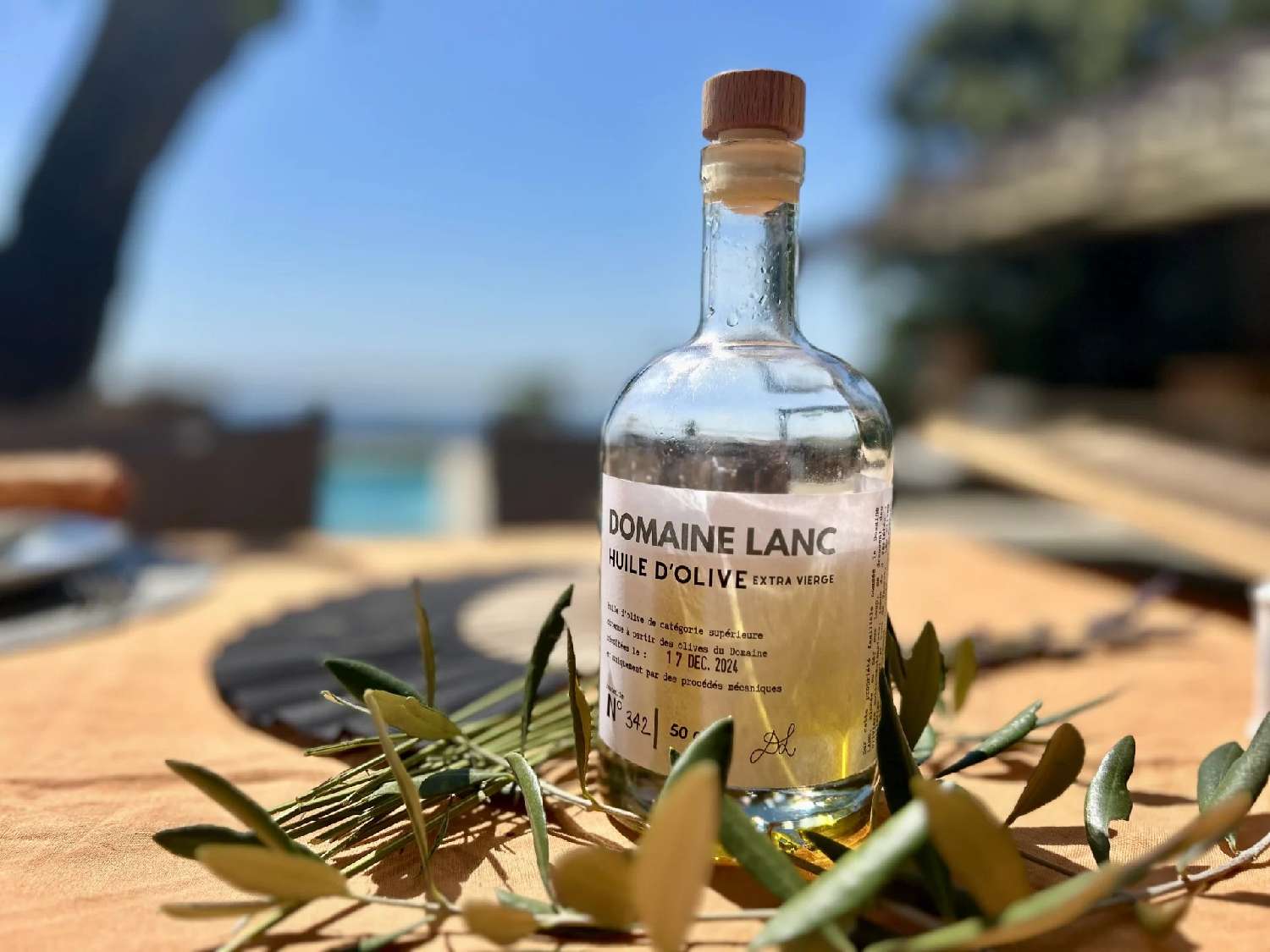  à vendre villa Grasse Alpes-Maritimes 7