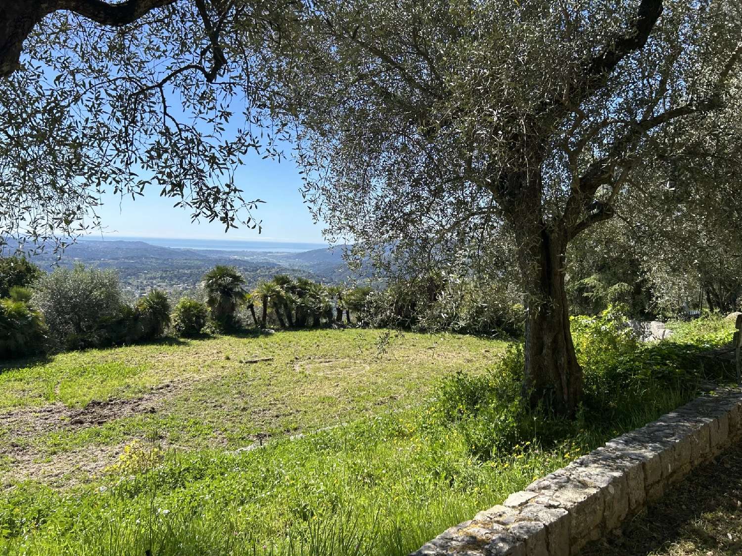  à vendre villa Grasse Alpes-Maritimes 8