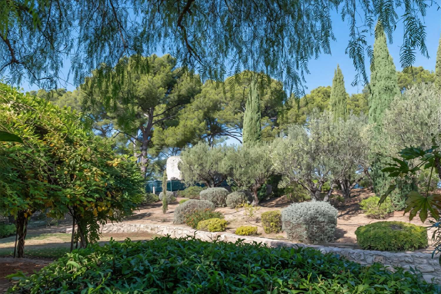  kaufen Villa La Cadière-d'Azur Var 2