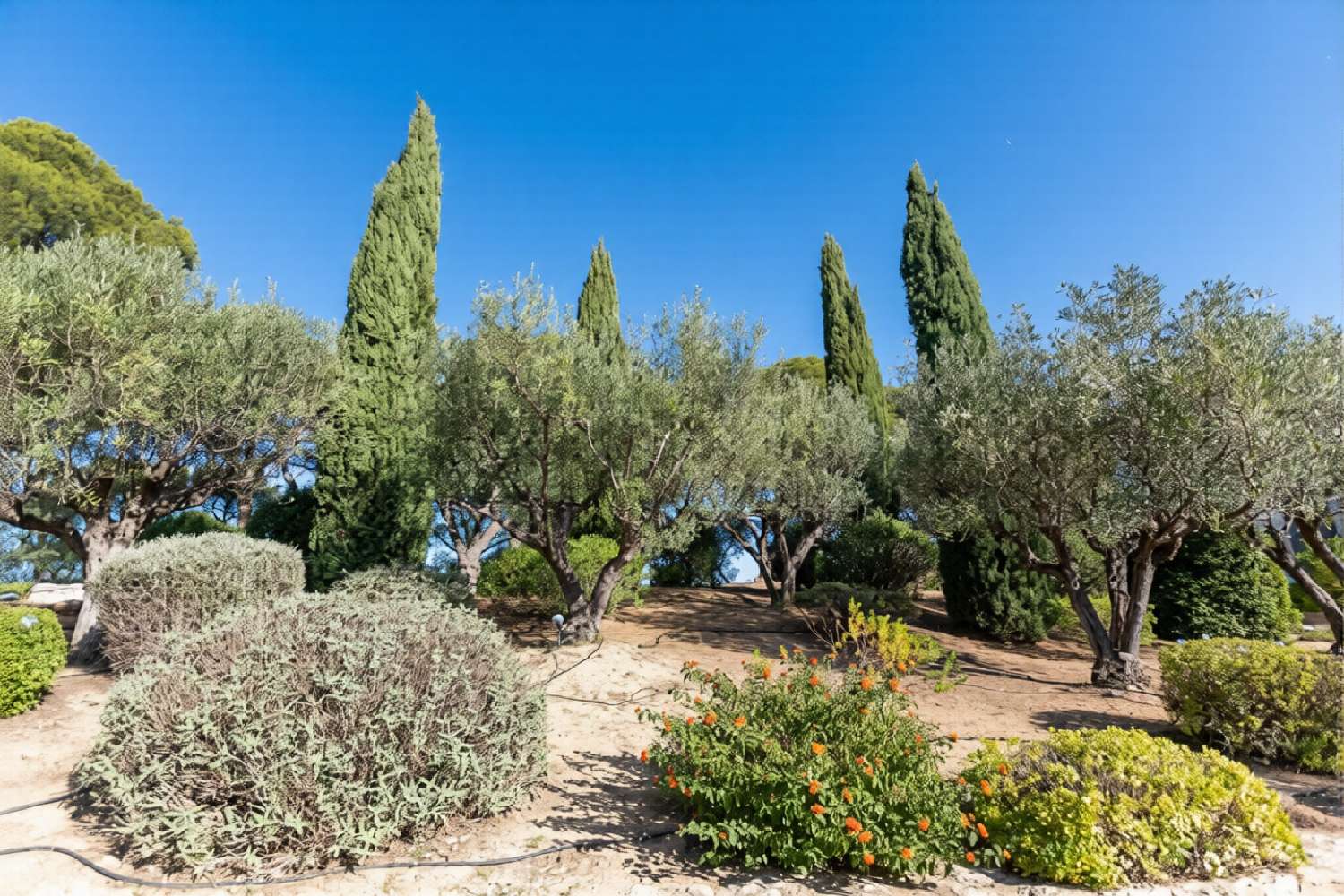  kaufen Villa La Cadière-d'Azur Var 4