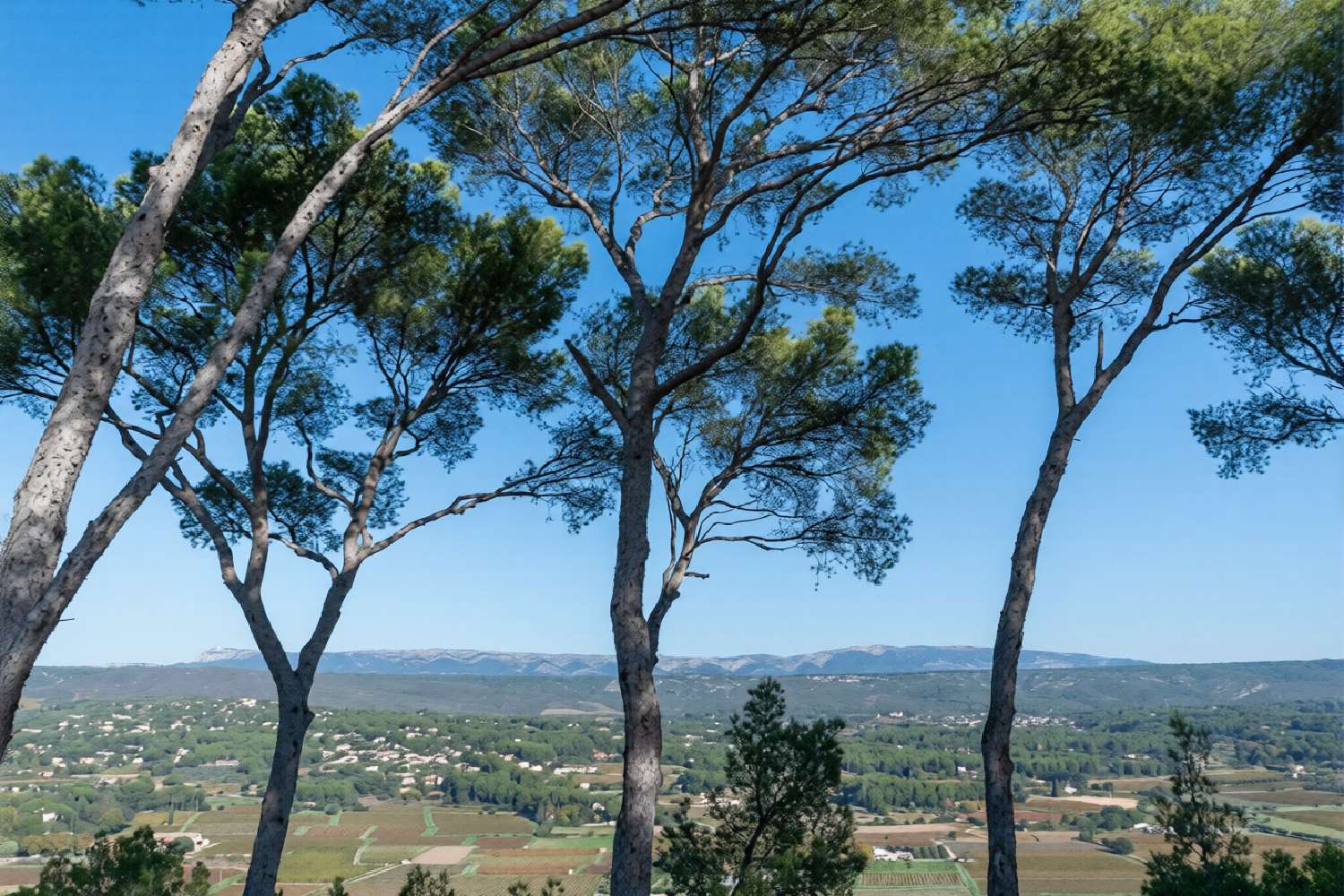  kaufen Villa La Cadière-d'Azur Var 6